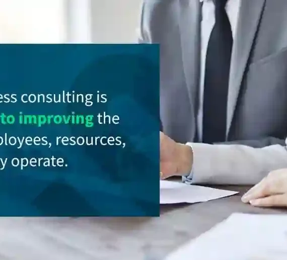 Business Process Consultants