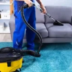 Rug Cleaner