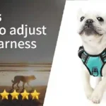 harness