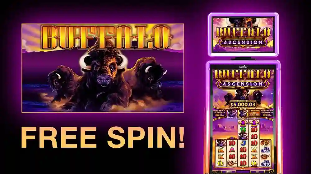 Free Spin