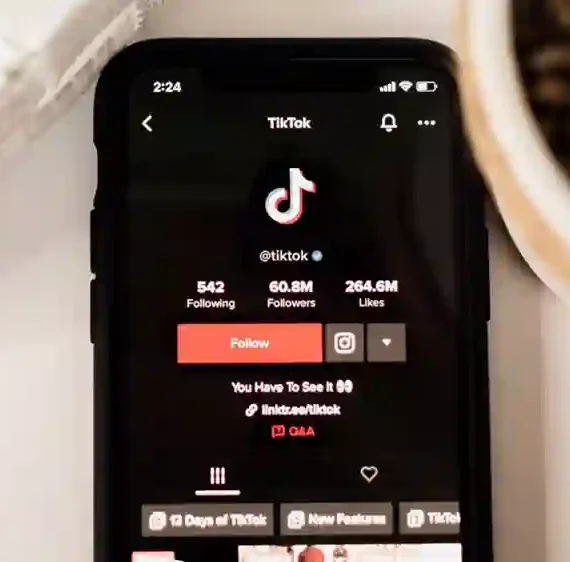 How to Delete TikTok Story